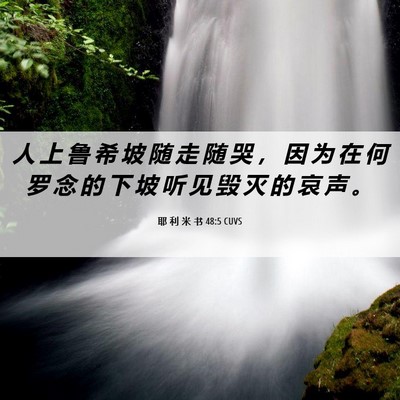 Picture 06 - 耶 利 米 书 48:5 CUVS - 人 上 鲁 希 坡 随 走 随 哭 ， 因 为 - Bible Verse Picture