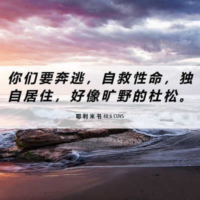 Picture 06 - 耶 利 米 书 48:6 CUVS - 你 们 要 奔 逃 ， 自 救 性 命 ， 独 - Bible Verse Picture