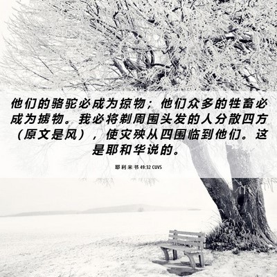 Picture 06 - 耶 利 米 书 49:32 CUVS - 他 们 的 骆 驼 必 成 为 掠 物 ； 他 - Bible Verse Picture