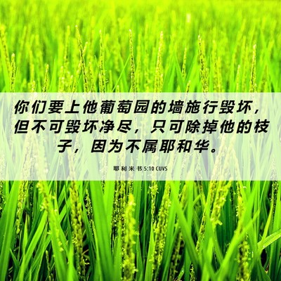 Picture 06 - 耶 利 米 书 5:10 CUVS - 你 们 要 上 他 葡 萄 园 的 墙 施 行 - Bible Verse Picture