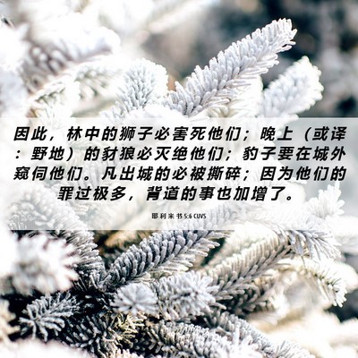 Picture 06 - 耶 利 米 书 5:6 CUVS - 因 此 ， 林 中 的 狮 子 必 害 死 他 - Bible Verse Picture