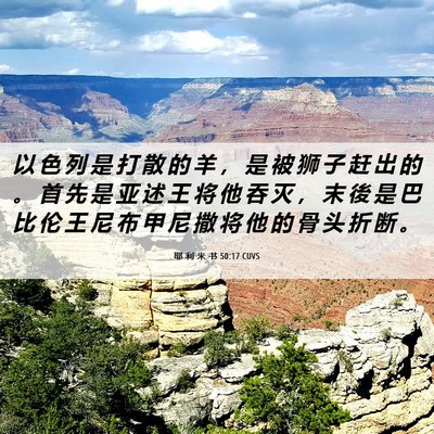 Picture 06 - 耶 利 米 书 50:17 CUVS - 以 色 列 是 打 散 的 羊 ， 是 被 狮 - Bible Verse Picture