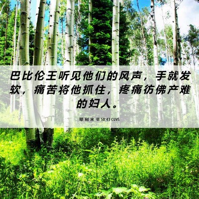 Picture 06 - 耶 利 米 书 50:43 CUVS - 巴 比 伦 王 听 见 他 们 的 风 声 ， - Bible Verse Picture