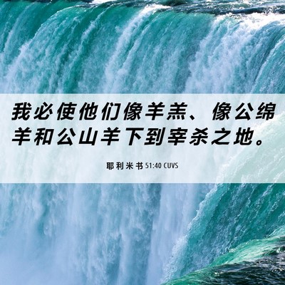 Picture 06 - 耶 利 米 书 51:40 CUVS - 我 必 使 他 们 像 羊 羔 、 像 公 绵 - Bible Verse Picture