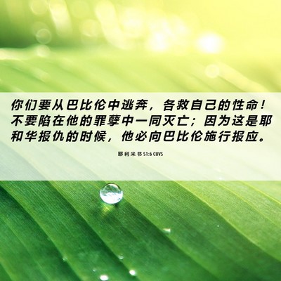 Picture 06 - 耶 利 米 书 51:6 CUVS - 你 们 要 从 巴 比 伦 中 逃 奔 ， 各 - Bible Verse Picture