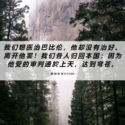 Picture 06 - 耶 利 米 书 51:9 CUVS - 我 们 想 医 治 巴 比 伦 ， 他 却 没 - Bible Verse Picture