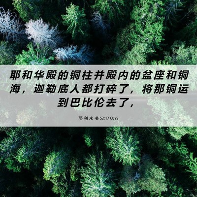Picture 06 - 耶 利 米 书 52:17 CUVS - 耶 和 华 殿 的 铜 柱 并 殿 内 的 盆 - Bible Verse Picture