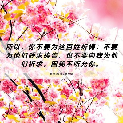 Picture 06 - 耶 利 米 书 7:16 CUVS - 所 以 ， 你 不 要 为 这 百 姓 祈 祷 - Bible Verse Picture