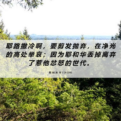 Picture 06 - 耶 利 米 书 7:29 CUVS - 耶 路 撒 冷 啊 ， 要 剪 发 抛 弃 ， - Bible Verse Picture