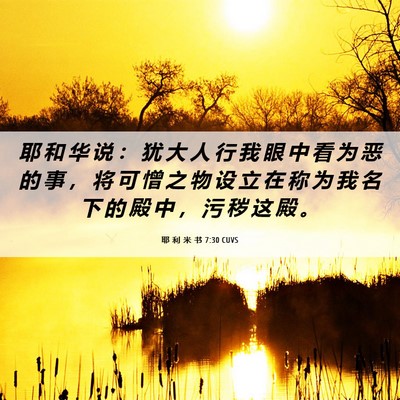 Picture 06 - 耶 利 米 书 7:30 CUVS - 耶 和 华 说 ： 犹 大 人 行 我 眼 中 - Bible Verse Picture