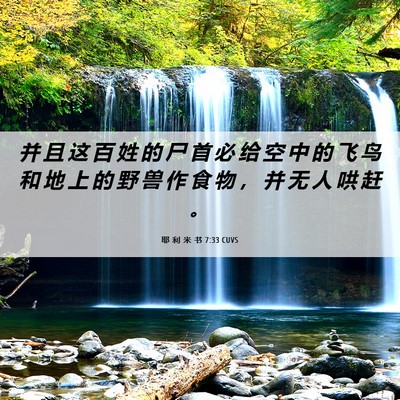 Picture 06 - 耶 利 米 书 7:33 CUVS - 并 且 这 百 姓 的 尸 首 必 给 空 中 - Bible Verse Picture
