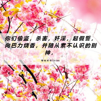 Picture 06 - 耶 利 米 书 7:9 CUVS - 你 们 偷 盗 ， 杀 害 ， 奸 淫 ， 起 - Bible Verse Picture