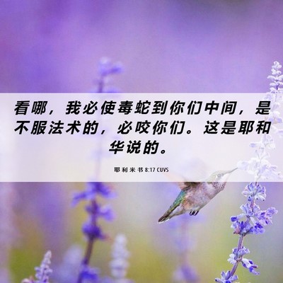 Picture 06 - 耶 利 米 书 8:17 CUVS - 看 哪 ， 我 必 使 毒 蛇 到 你 们 中 - Bible Verse Picture