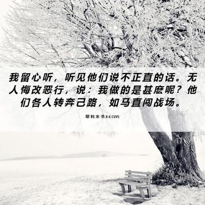Picture 06 - 耶 利 米 书 8:6 CUVS - 我 留 心 听 ， 听 见 他 们 说 不 正 - Bible Verse Picture