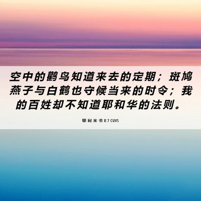 Picture 06 - 耶 利 米 书 8:7 CUVS - 空 中 的 鹳 鸟 知 道 来 去 的 定 期 - Bible Verse Picture