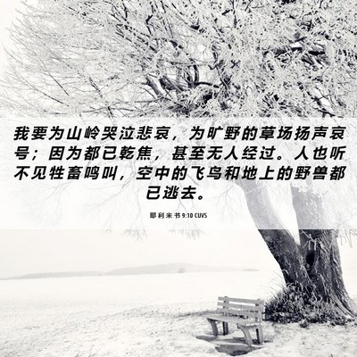 Picture 06 - 耶 利 米 书 9:10 CUVS - 我 要 为 山 岭 哭 泣 悲 哀 ， 为 旷 - Bible Verse Picture