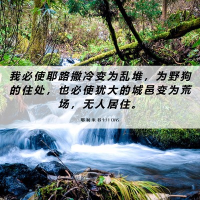 Picture 06 - 耶 利 米 书 9:11 CUVS - 我 必 使 耶 路 撒 冷 变 为 乱 堆 ， - Bible Verse Picture