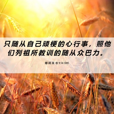 Picture 06 - 耶 利 米 书 9:14 CUVS - 只 随 从 自 己 顽 梗 的 心 行 事 ， - Bible Verse Picture