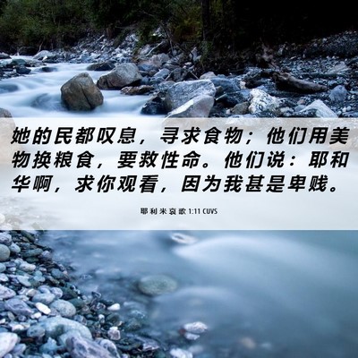 Picture 06 - 耶 利 米 哀 歌 1:11 CUVS - 她 的 民 都 叹 息 ， 寻 求 食 物 ； - Bible Verse Picture