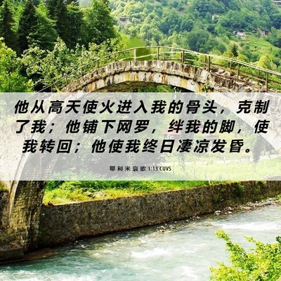 Picture 06 - 耶 利 米 哀 歌 1:13 CUVS - 他 从 高 天 使 火 进 入 我 的 骨 头 - Bible Verse Picture