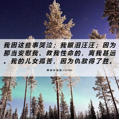 Picture 06 - 耶 利 米 哀 歌 1:16 CUVS - 我 因 这 些 事 哭 泣 ； 我 眼 泪 汪 - Bible Verse Picture