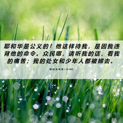 Picture 06 - 耶 利 米 哀 歌 1:18 CUVS - 耶 和 华 是 公 义 的 ！ 他 这 样 待 - Bible Verse Picture