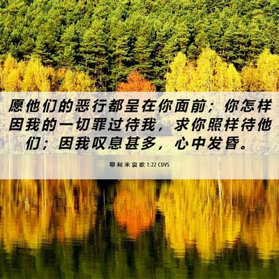 Picture 06 - 耶 利 米 哀 歌 1:22 CUVS - 愿 他 们 的 恶 行 都 呈 在 你 面 前 - Bible Verse Picture