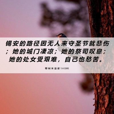 Picture 06 - 耶 利 米 哀 歌 1:4 CUVS - 锡 安 的 路 径 因 无 人 来 守 圣 节 - Bible Verse Picture