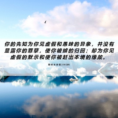 Picture 06 - 耶 利 米 哀 歌 2:14 CUVS - 你 的 先 知 为 你 见 虚 假 和 愚 昧 - Bible Verse Picture