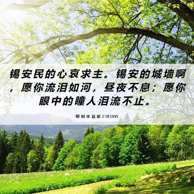 Picture 06 - 耶 利 米 哀 歌 2:18 CUVS - 锡 安 民 的 心 哀 求 主 。 锡 安 的 - Bible Verse Picture
