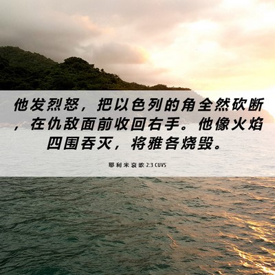 Picture 06 - 耶 利 米 哀 歌 2:3 CUVS - 他 发 烈 怒 ， 把 以 色 列 的 角 全 - Bible Verse Picture