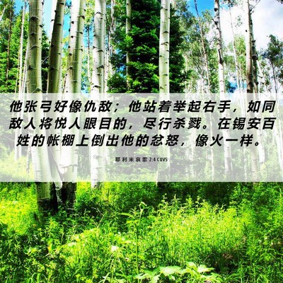 Picture 06 - 耶 利 米 哀 歌 2:4 CUVS - 他 张 弓 好 像 仇 敌 ； 他 站 着 举 - Bible Verse Picture