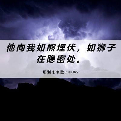 Picture 06 - 耶 利 米 哀 歌 3:10 CUVS - 他 向 我 如 熊 埋 伏 ， 如 狮 子 在 - Bible Verse Picture