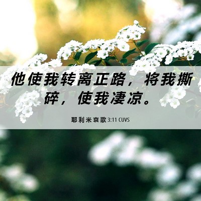 Picture 06 - 耶 利 米 哀 歌 3:11 CUVS - 他 使 我 转 离 正 路 ， 将 我 撕 碎 - Bible Verse Picture