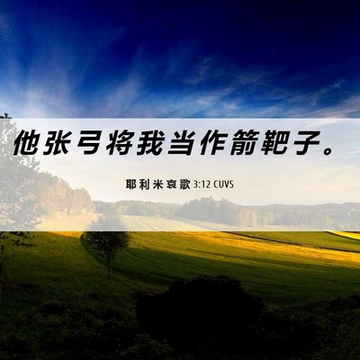 Picture 06 - 耶 利 米 哀 歌 3:12 CUVS - 他 张 弓 将 我 当 作 箭 靶 子 - Bible Verse Picture