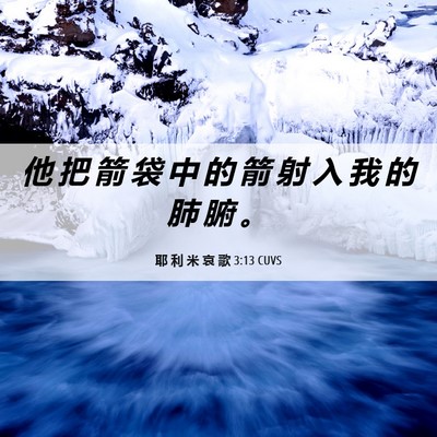 Picture 06 - 耶 利 米 哀 歌 3:13 CUVS - 他 把 箭 袋 中 的 箭 射 入 我 的 肺 - Bible Verse Picture