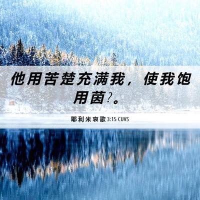 Picture 06 - 耶 利 米 哀 歌 3:15 CUVS - 他 用 苦 楚 充 满 我 ， 使 我 饱 用 - Bible Verse Picture