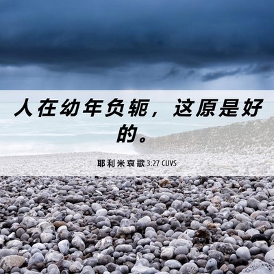 Picture 06 - 耶 利 米 哀 歌 3:27 CUVS - 人 在 幼 年 负 轭 ， 这 原 是 好 的 - Bible Verse Picture