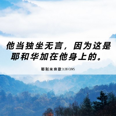 Picture 06 - 耶 利 米 哀 歌 3:28 CUVS - 他 当 独 坐 无 言 ， 因 为 这 是 耶 - Bible Verse Picture