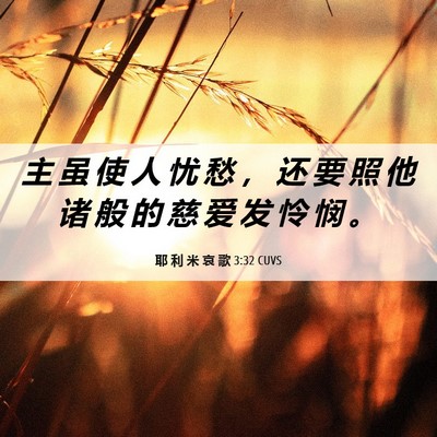 Picture 06 - 耶 利 米 哀 歌 3:32 CUVS - 主 虽 使 人 忧 愁 ， 还 要 照 他 诸 - Bible Verse Picture