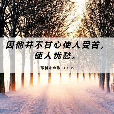 Picture 06 - 耶 利 米 哀 歌 3:33 CUVS - 因 他 并 不 甘 心 使 人 受 苦 ， 使 - Bible Verse Picture