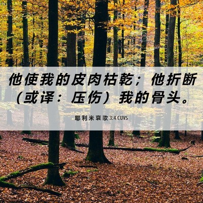 Picture 06 - 耶 利 米 哀 歌 3:4 CUVS - 他 使 我 的 皮 肉 枯 乾 ； 他 折 断 - Bible Verse Picture