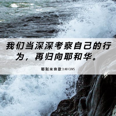 Picture 06 - 耶 利 米 哀 歌 3:40 CUVS - 我 们 当 深 深 考 察 自 己 的 行 为 - Bible Verse Picture