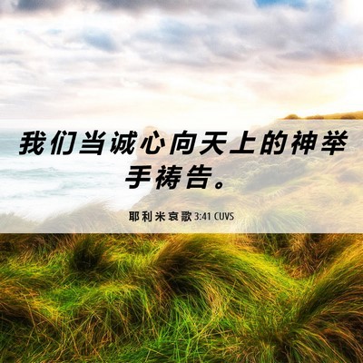 Picture 06 - 耶 利 米 哀 歌 3:41 CUVS - 我 们 当 诚 心 向 天 上 的 神 举 手 - Bible Verse Picture
