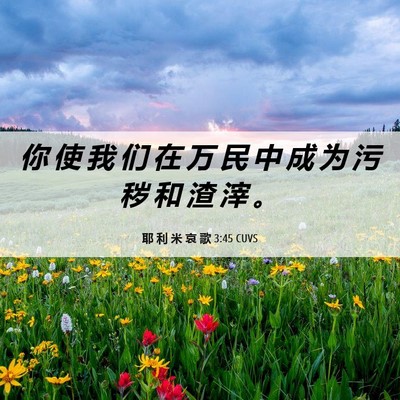 Picture 06 - 耶 利 米 哀 歌 3:45 CUVS - 你 使 我 们 在 万 民 中 成 为 污 秽 - Bible Verse Picture