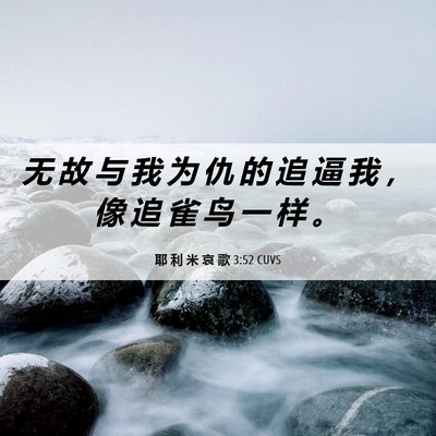 Picture 06 - 耶 利 米 哀 歌 3:52 CUVS - 无 故 与 我 为 仇 的 追 逼 我 ， 像 - Bible Verse Picture