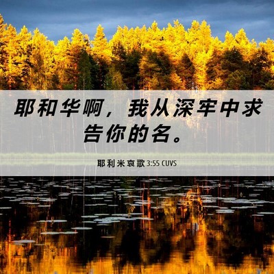 Picture 06 - 耶 利 米 哀 歌 3:55 CUVS - 耶 和 华 啊 ， 我 从 深 牢 中 求 告 - Bible Verse Picture