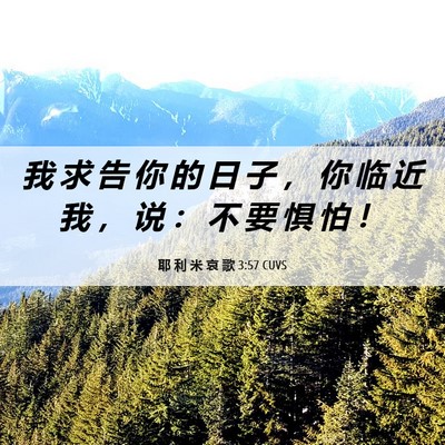 Picture 06 - 耶 利 米 哀 歌 3:57 CUVS - 我 求 告 你 的 日 子 ， 你 临 近 我 - Bible Verse Picture