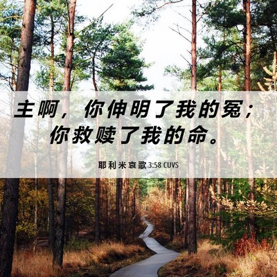 Picture 06 - 耶 利 米 哀 歌 3:58 CUVS - 主 啊 ， 你 伸 明 了 我 的 冤 ； 你 - Bible Verse Picture