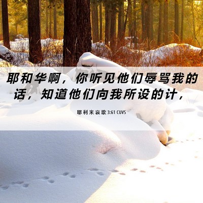 Picture 06 - 耶 利 米 哀 歌 3:61 CUVS - 耶 和 华 啊 ， 你 听 见 他 们 辱 骂 - Bible Verse Picture